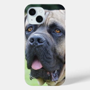Coque Pour iPhone 15 Visage Bullmastiff
