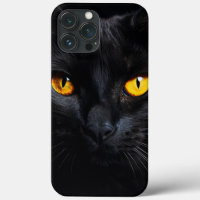 Visage de chat noir