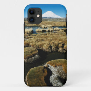 Coque Case-Mate Pour iPhone Volcan de Payachalas