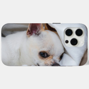 Coque iPhone 15 Pro Max Votre chiot chien de compagnie photo personnalisée