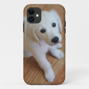 Coque iPhone 11 votre photo préférée d'animal familier sur un c