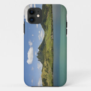 Coque iPhone 11 Vue aérienne de Lion Mountain, Sud-Est