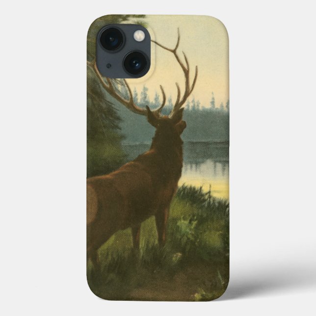 Coques Case-Mate iPhone Vue arrière du lac Elk Vue sur un lac (Verso)