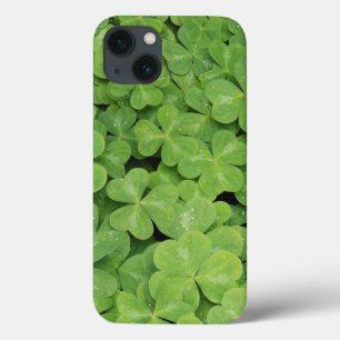 Coques Pour iPhone Vue d'Oxalis Oregana feuillage d'oseille des bois