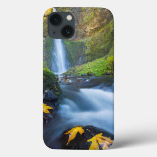 iPhone 13 Coque Vue panoramique verticale des chutes du tunnel