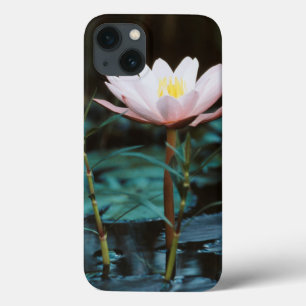 iPhone 13 Coque Vue rapprochée de nénuphar à Inle Lake