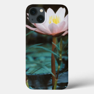 Coques Pour iPhone Vue rapprochée de nénuphar à Inle Lake
