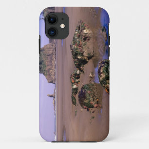Case-Mate iPhone Case WA, Olympic NP, Second Beach avec piscines et