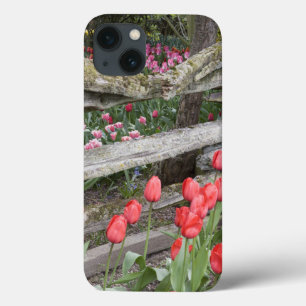 iPhone 13 Case WA, vallée de Skagit, jardin de tulipes Roozengaar