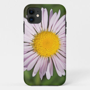 Coques Pour iPhone Washington, chaîne des Cascades, mont Baker