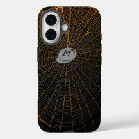 Web d'araignée illuminée dans l'obscurité
