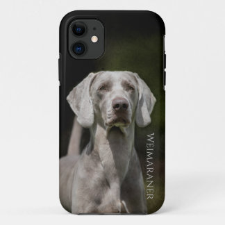 Case-Mate iPhone Case Weimaraner