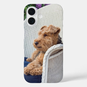 Coques iPhone 16 Welsh Terrier