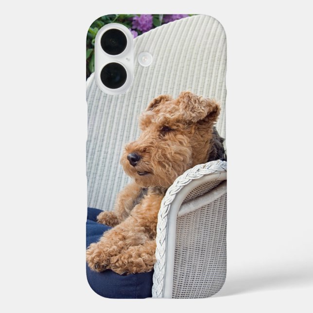 Coques Case-Mate iPhone Welsh Terrier (Verso)