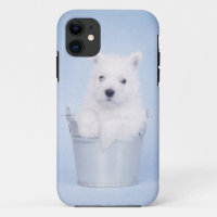 West Highland White Terrier