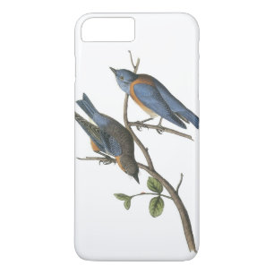 Coque Case-Mate Pour iPhone Western Bluebird par Audubon