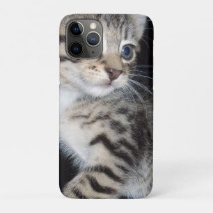 Case-Mate iPhone Case "Whiskers of Trouble : The Mischievous Tabby Kitte