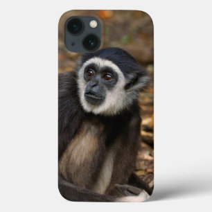 Etui iPhone Case-Mate White-Handed Gibbon (Hylobates Lar), Monkeyland
