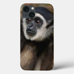 Case-Mate iPhone Case White-Handed Gibbon (Hylobates Lar), Monkeyland