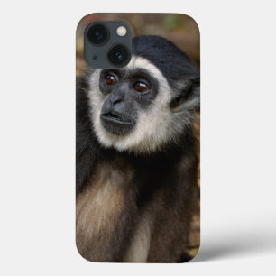 Coques Pour iPhone White-Handed Gibbon (Hylobates Lar), Monkeyland