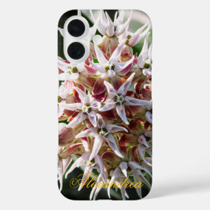 Coque Pour iPhone 16 White Showy Milkweed - Nature Photography