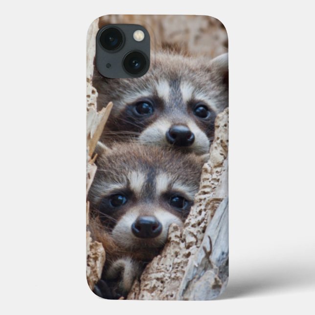 Coques Case-Mate iPhone Wyoming, Lincoln County, Raccoon (Verso)