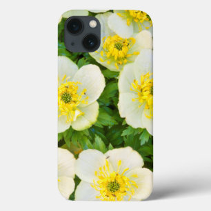 Coques Pour iPhone Wyoming, Sublette County, Close-up of a group