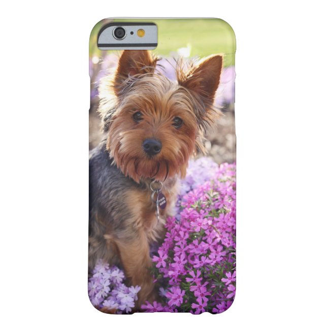 Coques Case-Mate iPhone Yorkshire Terrier (Dos)