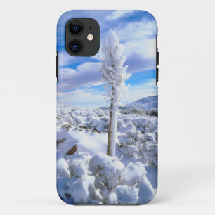 Coque iPhone 11 Yucca enneigé