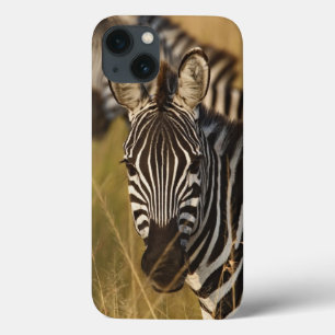 Coques Pour iPhone Zèbre de Burchell dans les hautes herbes d'été, Ma