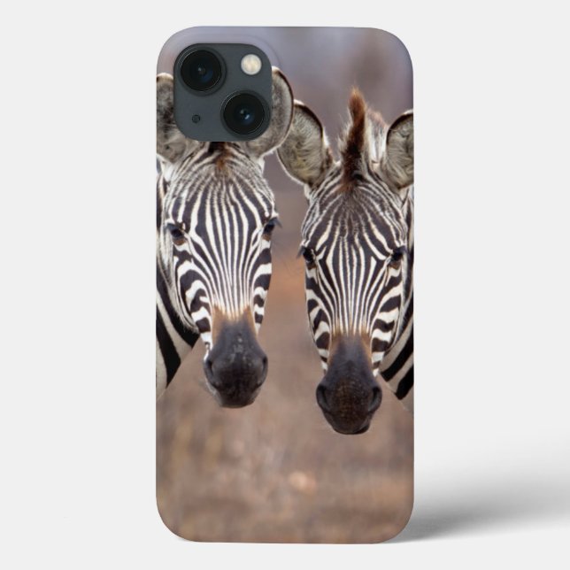 Coques Case-Mate iPhone Zèbres des plaines, parc national Kruger (Verso)