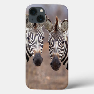 iPhone 13 Case Zèbres des plaines, parc national Kruger