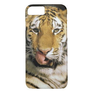 Etui iPhone Case-Mate Zoo de Tiger Michigan