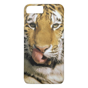 Coque iPhone 8 Plus/7 Plus Zoo de Tiger Michigan