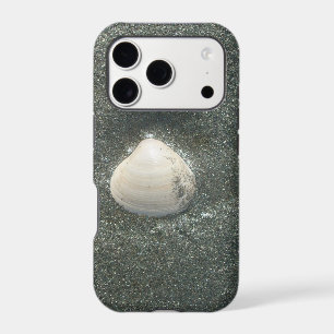 Coques de mer Hakuna Matata.JPG