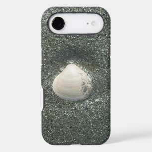 Coques de mer Hakuna Matata.JPG