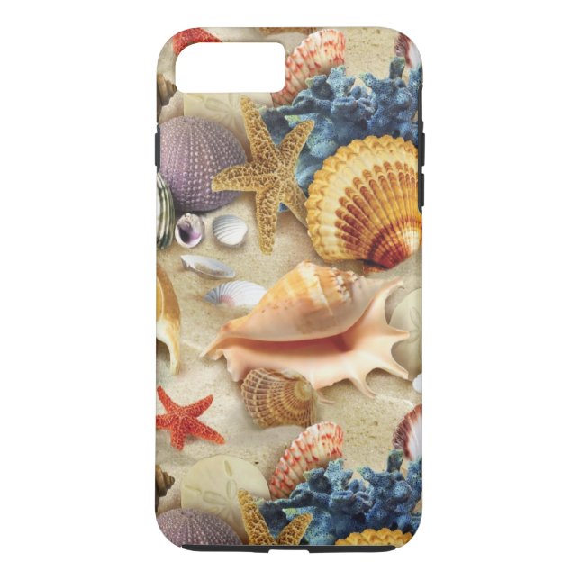 Coques de mer sur la plage (Dos)