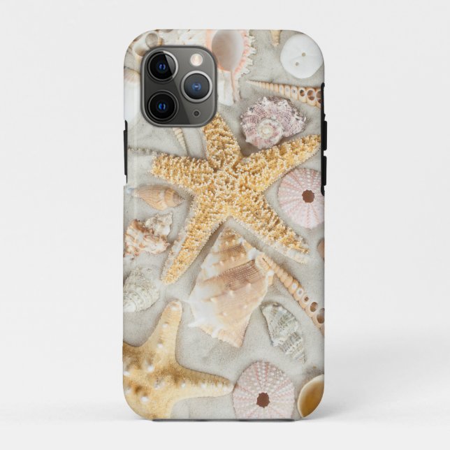 Coques de plage (Dos)