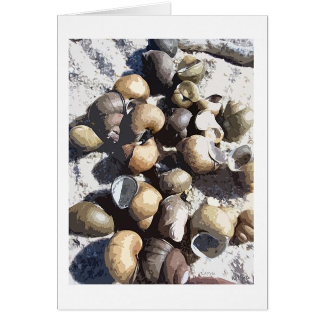 Coques des escargots (Devant)