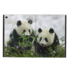 Coques ipad d'iCase de Powis d'ours panda