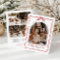 Coquette Bow Holiday Photo Card, Merry Christmas
