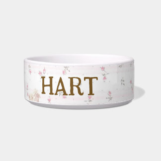 Coquette bunny  bowl