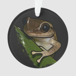 Coqui Porto Rico