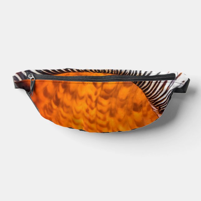 Coquillage hypnotique (Poser)