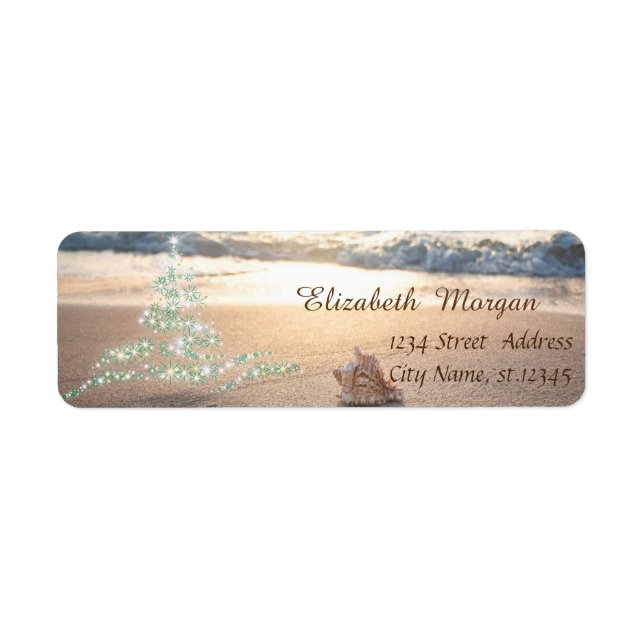 Coquillage Tropical, Noël Arbre Vacances (Devant)