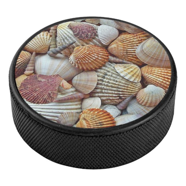 Coquillages (3/4/2016 12:00:00 AM)