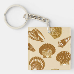 Coquillages - Brown sur un arrière - plan beige