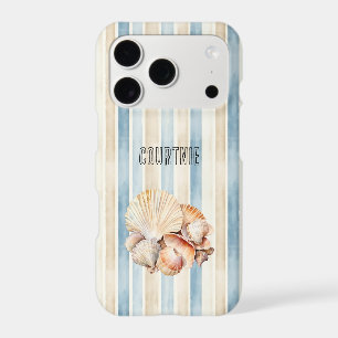 Coquillages de plage