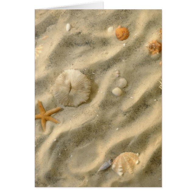 Coquillages en sable (Devant)