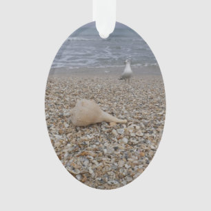 Coquillages et mouettes